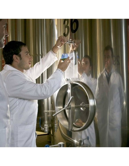 EVOO DO Estepa Oleoestepa Special Limited Edition Gold Medal 