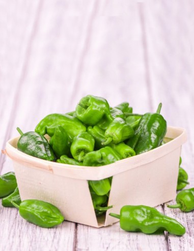 Pimientos de Padrón