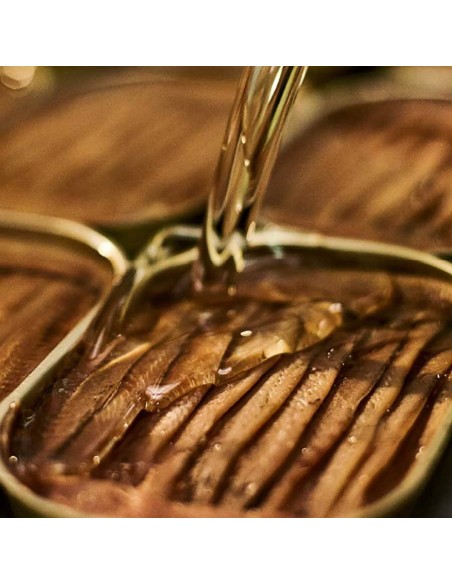 Anchoas del Cantabrico en Aceite de Oliva